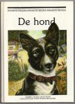 Laurey, Harriet / Ruud Rook met illustraties in kleur van Tilman Michalski - De hond