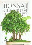 Redactie - Bonsai Centrum Heidelberg - Indoors-Bonsai für die Wohnung