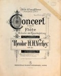 Verhey, Theodorus Hendricus Hubertus: - Concert D moll für Flöte mit Orchester- oder Klavierbegleitung. Op. 43. Für Flöte mit Klavierbegleitung