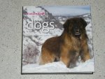 Diverse Auteurs - Twee delen Dogs  A G en H Z  ( Hunde - Chiens Cani - Perros - Honden . ) ( prijs is voor de twee delen samen )