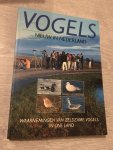  - Vogels nieuw in nederland