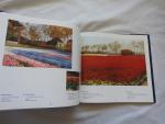 AMSTERDAM, Herman van en VOORT, Peter van der - Tulip Fields of Holland. Paintings. Hollandse bollenvelden. Schilderijen
