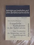 Stadland-Neumann, Hiltrud - Evangelische Radikalismen in der Sicht Calvins. Sein Verständnis der Bergpredigt und der Aussendungsrede (Mt 10)