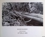 Oxenaar, Rudolf W.D. - David Nash: Wood Quarry