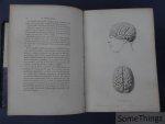 Bruyères, H. - La Phrénologie. Le geste et la physionomie démontrés par 120 portraits, sujets et compositions gravés sur acier. Disposition innés - études sur l'expression - application du système phrénologique à l'observation des caractères, aux relat...
