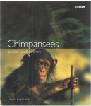 Constable, Tamsin - Chimpansees - sociale woudbewoners