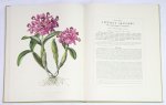 Bateman, James - The orchidaceae of Mexico and Guatemala