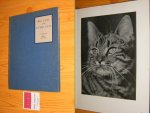 Richardson, Maurice (voorwoord) - Big cats and little cats 48 photographic studies by Hedda Walther