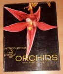 Dunsterville, G.C.K. - Introduction to the world of orchids