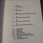 Maljers- van Erven Dorens, Chantal, Healy, Patrick, Bowie, Joey - Hilarius hofstede paleo psycho pop / rhizomatics=Popanalysis, Mythology, Surrealism and Taxonomy in the work of Hilarius Hofstede