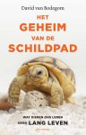 David van Bodegom - Het geheim van de schildpad