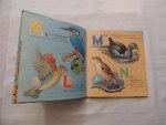 Margaret Barr - illustrated by J.B. Long. Verses by Margaret Barr. - My A.B.C. picture book of birds