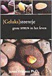 Wanless, J. - Gelukssteentje
