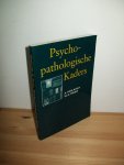 Poslavsky, A. & Meijer, E. J. G. - Psycho-pathologische kaders. Theorieën en therapieën in de praktijk van de geestelijke gezondheidszorg