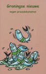  - Groningse Nieuwe