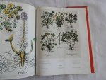 Besler, Basilius - The Book of Plants. The Complete Plates.