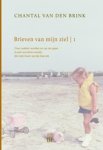 Chantal van den Brink - Brieven van mijn ziel 1993-1999 Chantal van den Brink - Brieven van mijn ziel 1993-1999