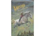 Kees Putman - Amerigo