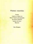 Joyce Mansour 12870, Pierre [ill.] Schwartz - Flammes immobiles Totems, sceptres et bâtons de Nanou Vialard
