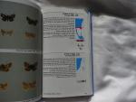 Dubi Benyamini - A field guide to the butterflies of Israel : including butterflies of Mt. Hermon, Sinai and Jordan
