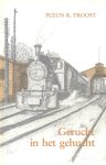 Troost, Pleun R. - Troost, Pleun R.-Gerucht in het gehucht