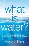 Kayvan Kian - What Is Water?