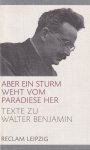 Opitz, Michael - Aber ein Sturm weht vom Paradiese her. Texte zu Walter Benjamin