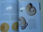 rudolf prokop - fossielen-een beschrijving van meer dan 200 soorten fossielen met vele illustraties in kleur