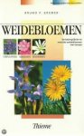 Kremer, Bruno P. - Weidebloemen. De belangrijkste en mooiste weidebloemen van Europa leren kennen, herkennen, beschermen