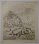 JARDIN, KAREL DU, - Three pigs in front of a pigsty