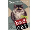 Jim Edgar - Bad Cat