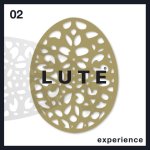 Peter Lute, Marieke Lute - Experience