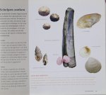 Div. auteurs - Het natuurboek : de gebieden van Natuurmonumenten