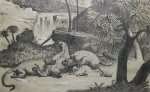 Zimmermann, W.F.A., - De wonderen der voorwereld. Een populaire voorstelling van de geschiedenis der schepping.en den oorspronkelijken toestand der aarde.