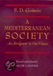Goitein, S D - A Mediterranean Society