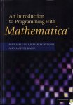 Paul R. Wellin,  Richard J. Gaylord,  Samuel N. Kamin - An Introduction to Programming with Mathematica®