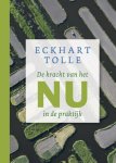 Eckhart Tolle - De kracht van het nu in de praktijk