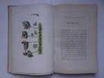 Oudemans, C.A.J.A. (red.). - Neerland's plantentuin. Afbeeldingen en beschrijvingen van sierplanten voor tuin en kamer. Tweede deel.