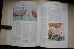 Anno Fokkinga ; Felius, Marleen - biologie: EEN LAND VOL VEE landbouwhuisdieren van Nederland