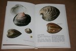 M. Moller Christensen - Seashells  -- Bivalves of the British and Northern European Seas