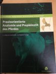 Gerhards, Hartmut - Praxisorientierte Anatomie und