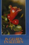 J.P. Versteeg - In geuren en kleuren