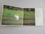 Hazelhoff, Fred - Dichtbij-veraf. Fotoavonturen in Noord-Europa Hazelhoff, Fred - Dichtbij-veraf. Fotoavonturen in Noord-Europa