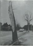 PRUS, Timothy - Timothy Prus - The Luton Augories.