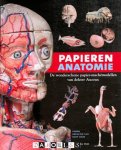 Bart Grob (red) - Papieren Anatomie. De wonderschone papier-maché modellen van dokter Auzoux