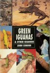John Coborn 34827 - Green Iguanas and Other Iguanids