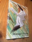 Clarke, Roger - Montagu's Harrier (Grauwe Kiekendief)