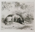Moorrees, Christiaan Wilhelmus (1801-1867) - [Antique print, etching] A dog lying on the ground / Hond ligt op de grond.
