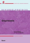 Willem Boelens - Behandelprotocol depressie
