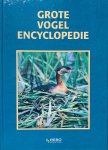 [{:name=>'K. Stastny', :role=>'A01'}] - Grote vogel encyclopedie